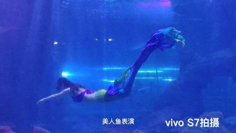 #长春美食#【优乐星海拾梦海底餐厅】再也不用去亚特兰蒂斯了,长春也有海底餐厅啦!数不尽的海